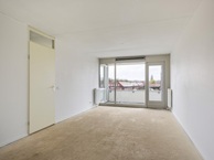 fp1.jpg