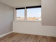 fp1.jpg