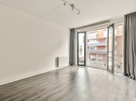 fp1.jpg