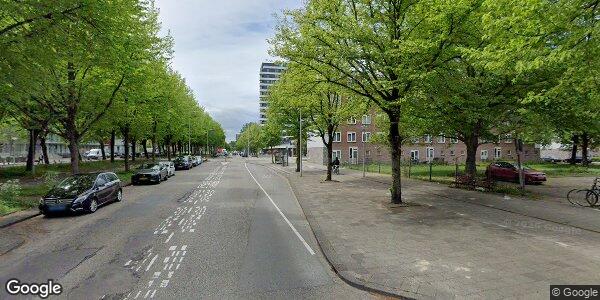 fp1.jpg