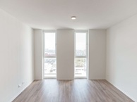fp1.jpg